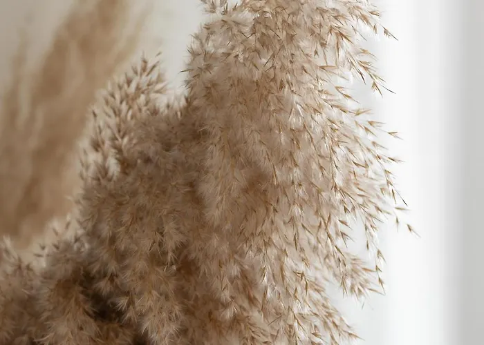 Apartament Bright Park Lotników Near Tauron Arena By Renters *